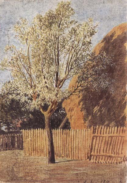 John linnell Study of a Tree oil painting picture